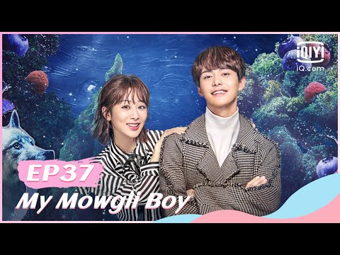 👦【FULL】【ENG SUB】我的莫格利男孩 EP37 | My Mowgli Boy | iQiyi Romance