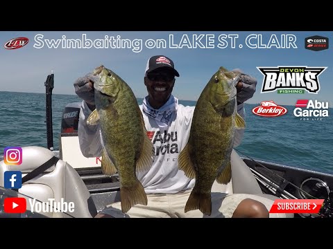 ttd:-47-|-the-best-swimbait-on-the-planet-|-berkley-powerbait-power-swimmer