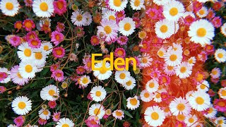 Jamie Yost - Eden (Official Audio)