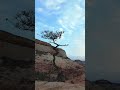 Improve Photography Compositions with this ONE Simple Trick!