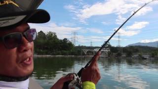 Eupro International - Kaiju Rod