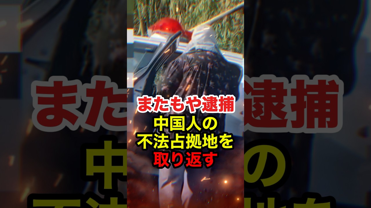 【石川慎之助】ヤミ畑の中国人が現行犯逮捕！不法占拠に不法投棄にやりたい放題 #石川慎之助 #令和タケちゃん #後藤たけし #外国人問題 #迷惑外国人 #反日 #政治 #shorts