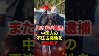 【石川慎之助】ヤミ畑の中国人が現行犯逮捕!不法占拠に不法投棄にやりたい放題 #石川慎之助 #令和タケちゃん #後藤たけし #外国人問題 #迷惑外国人 #反日 #政治 #shorts