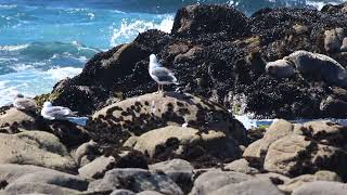 Wegu Grtp 3 30 20 Inti