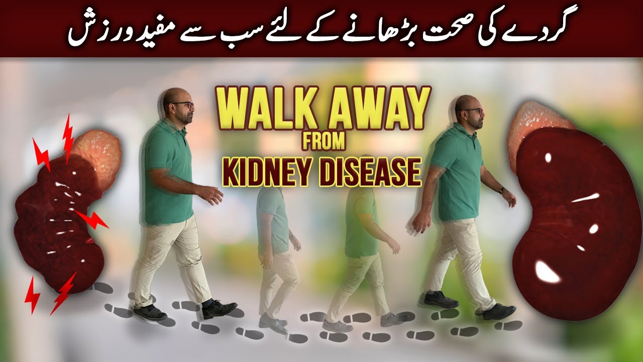 Предотвратите заболевания почек естественным путём: узнайте, почему ходьба — лучшее упражнение, в...