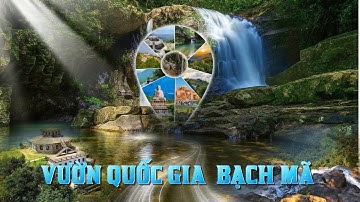 Mẫu Slide Giới Thiệu Vườn Quốc Gia Bạch Mã Phù Hợp Học Tập