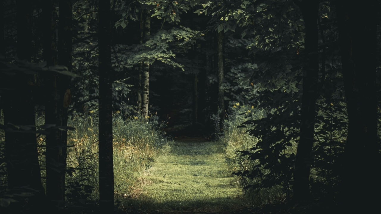 Playlist l 그곳은 비밀의 화원이었다