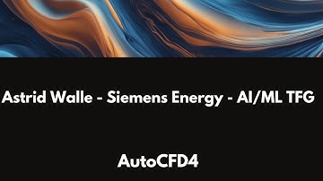 AutoCFD4 - Astrid Walle (Siemens Energy) - AI/ML TFG