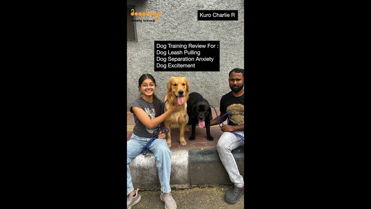 Kuro R. Dog Training Review By Punya For Kuro & Charlie. - YouTube