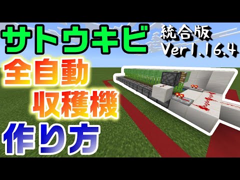 【マイクラ】初心者向け！全自動サトウキビ収穫機の作り方！ver1.16.4統合版(PE/PS4/Switch/Xbox/Win10)【マインクラフト】