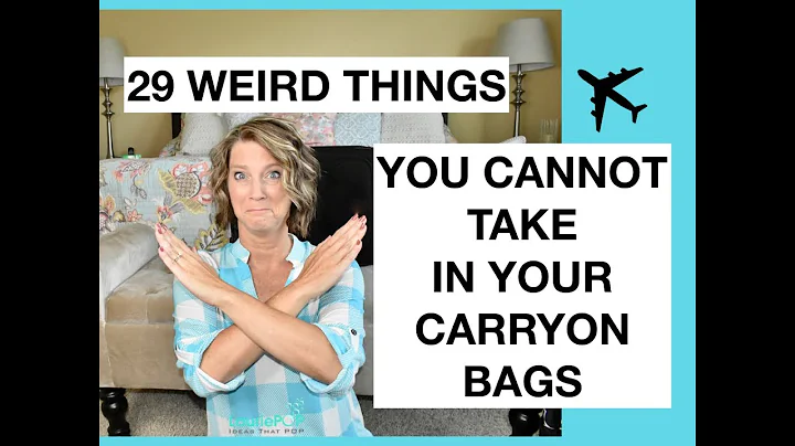 Bizarre Prohibited Items on Airplanes: You Won't Believe #29!