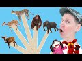 African Wild Animals Part 2 | Pop Sticks Song with Matt | Dream English Kids