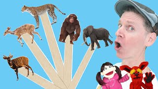 african wild animals part 2 pop sticks song with matt dream english kids