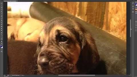 Photoshop Tutorial - 8 - Hand Tool