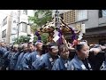 Docufeel Sanja Matsuri - Tokyo Japan | Festival | Documentary | Full HD | Docufeel