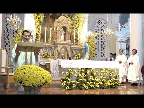 Video Thánh lễ Tất niên Giáo xứ Tân Định - 29/01/2021 - youtube