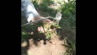 No Bend Weed Puller Tool 🌿 Pull Roots Instantly Without Back Pain