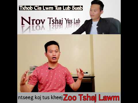 Video: Yuav Ua Li Cas Tshem Tawm Suab Nrov Thaum Koj Lub Computer Khiav