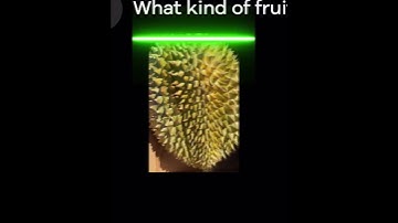 Chatly - AI Chat Bot Assistant