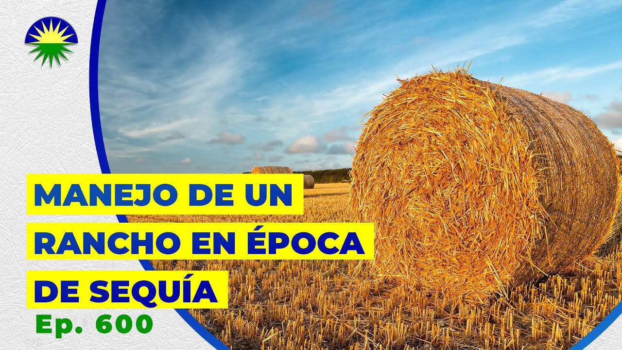 600. Manejo de un Rancho en Época de Sequía.