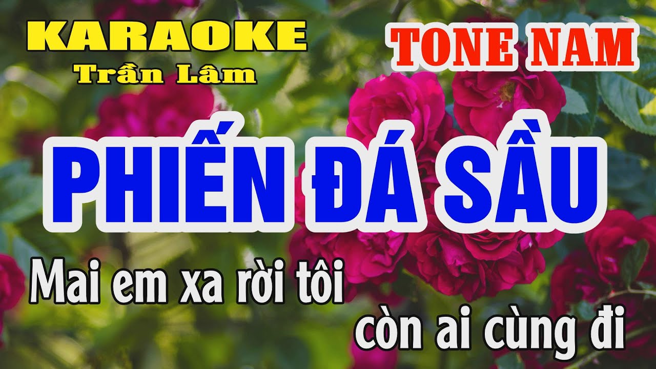 Phiến Đá Sầu Karaoke Tone Nam ( Am ) Trần Lâm