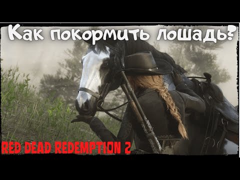 Как в red dead redemption 2 покормить лошадь?