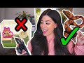 REACTING TO MY SUBSCRIBERS PET ENCLOSURES!