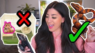 REACTING TO MY SUBSCRIBERS PET ENCLOSURES!