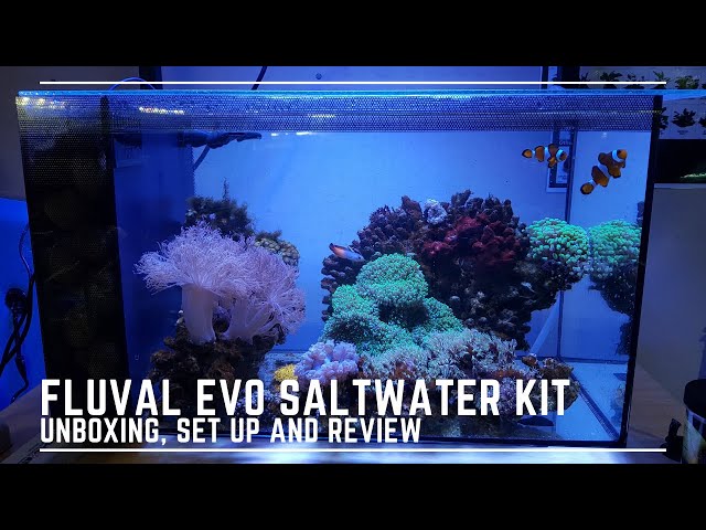 Fluval Evo Saltwater Aquarium Kit - Unboxing, Review and Set Up