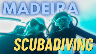 Is Diving In Madeira Worth It? + Food & Views Vlog