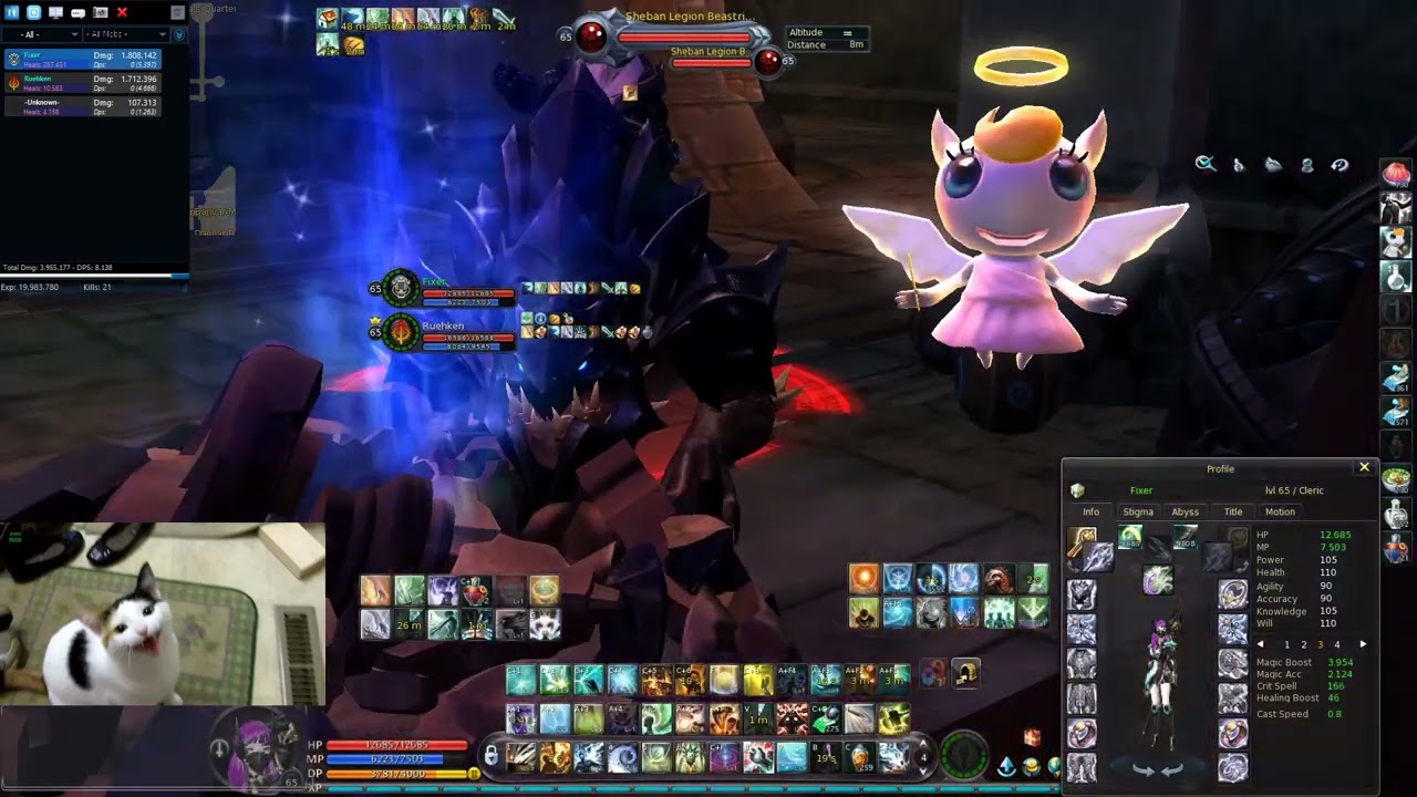 Aion 4.6 Duo Sauro Cleric/Aethertech (Ruehken)