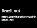 BRAZIL NUT | Bertholletia excelsa
