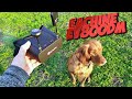 Eachine EV800DM ну и как вам новинка??? ( Перезаписал обзор)