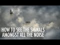How to find the signals amongst the noise  leon angus