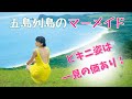 【川口春奈】ハルルの水着グラビアを拝めます