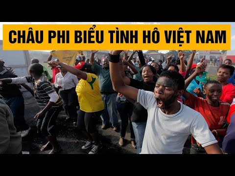 Video: Thiết kế khu vườn lấy cảm hứng từ Nigeria: Tìm hiểu về các loài thực vật cho các khu vườn ở Nigeria