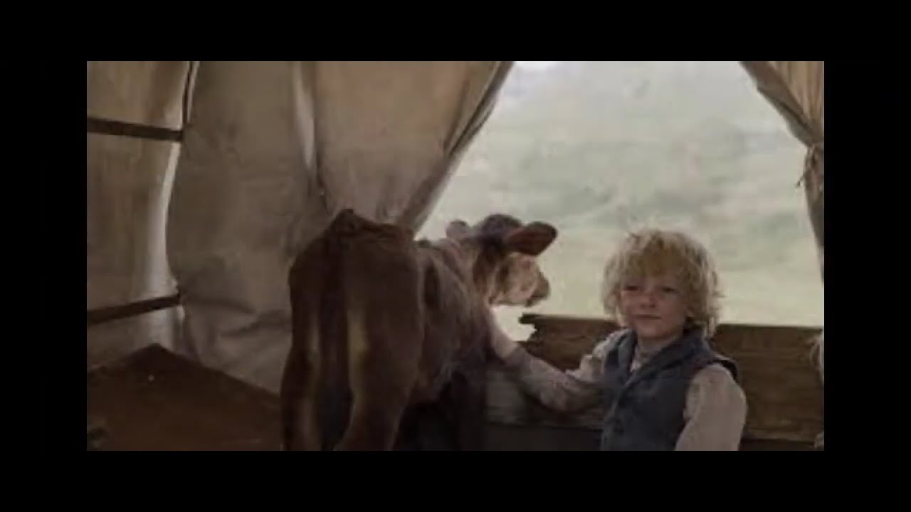 Heroic Story of Racheltjie de Beer