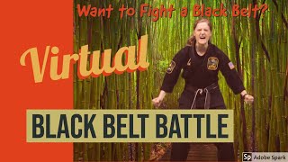 Want to Beat Up a Black Belt?  Virtual Interactive Black Belt Battle - Active Martial Arts Fun Game