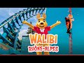 Reportage walibi rhnealpes