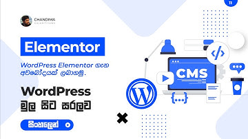 [11] Elementor | WordPress Sinhala Tutorials