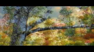 CLIP | Ouachita Mountains 01