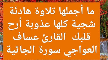 ما أجملها تلاوة هادئة شجية كلها عذوبة أرح قلبك  القارئ عساف العواجي سورة الجاثية