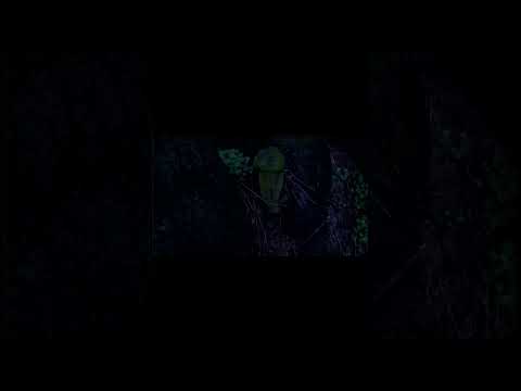 Хи кил ю #memes #scary #creepy #мем #slenderman #paranormal