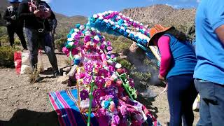 CRUZ DE MAYO SURUNCHE 2019
