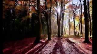 Обзор Русской Природы видео. Природа - видео России(природа цветы природа цветы картинки природа цветы екатеринбург природа цветы фото природа цветы весна..., 2014-09-03T13:58:10.000Z)
