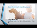 Electronic Dog Training Collars - Doged Technology Electronic Dog Training Collars - Doged Technology