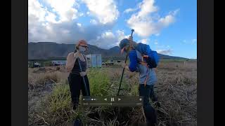 The Seeking Root: A Soil Restoration Initiative