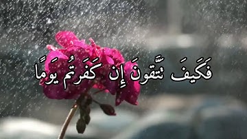 سورة المزمل SURAH AL-MUZZAMMIL #عبدالولي_الاركاني #ABDULWALI_ALARKANI