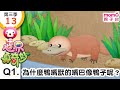 世界真奇妙S3 13 Q1 為什麼鴨嘴獸的嘴巴像鴨子呢 為什麼 為甚麼 WHY 孩子的疑問 Q A 學習新知長知識 教育問答 第三季 第13集 題目01 親子台 官方HD短版 Momokids 世界真奇妙S3 13 Q1 為什麼鴨嘴獸的嘴巴像鴨子呢 為什麼 為甚麼 WHY 孩子的疑問 Q A 學習新知長知識 教育問答 第三季 第13集 題目01 親子台 官方HD短版 Momokids