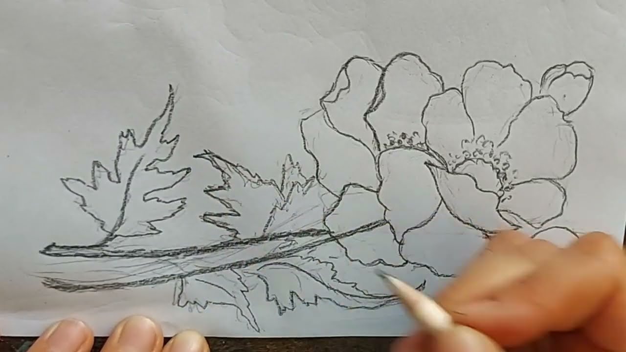 16 - Desenho para pintura em tecido 